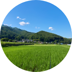 篠山の風景